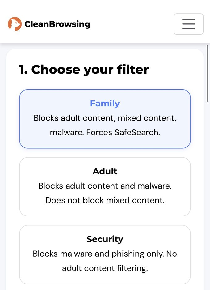 CleanBrowsing-Seite: Filter Family ausgewählt