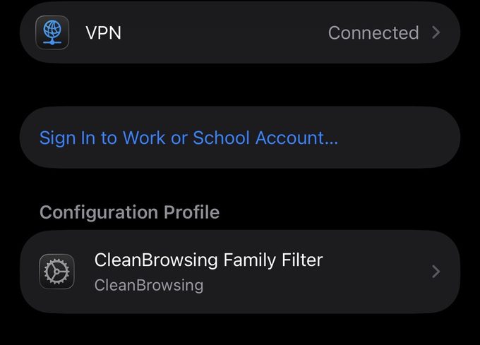 VPN und Geräteverwaltung mit CleanBrowsing-Profil